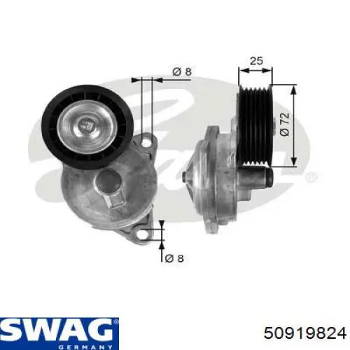 Comprar 50919824 Swag Tensor de la correa trapecial