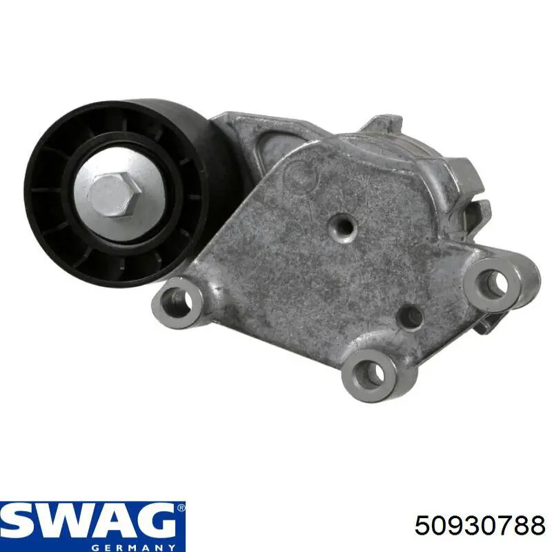 Comprar 50930788 Swag Tensor de correa poli V 