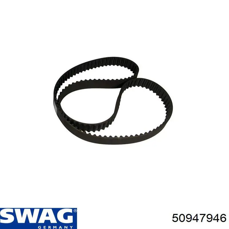 50947946 Swag Correa dentada