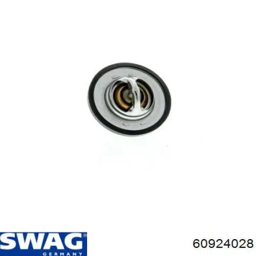 Termostato, refrigerante Renault Laguna 2 BG0, BG1