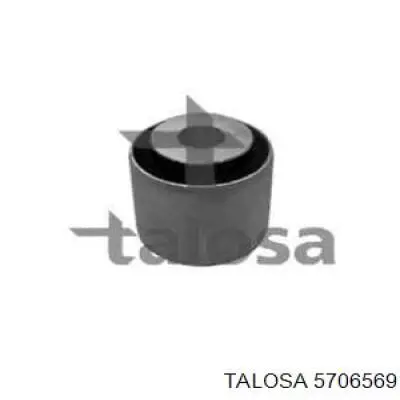 57-06569 Talosa silentblock de mangueta trasera