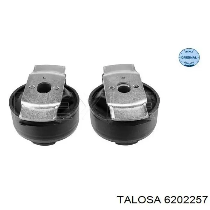 6202257 Talosa suspensión, cuerpo del eje trasero