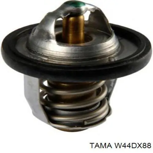 W44DX88 Tama Termostato de agua