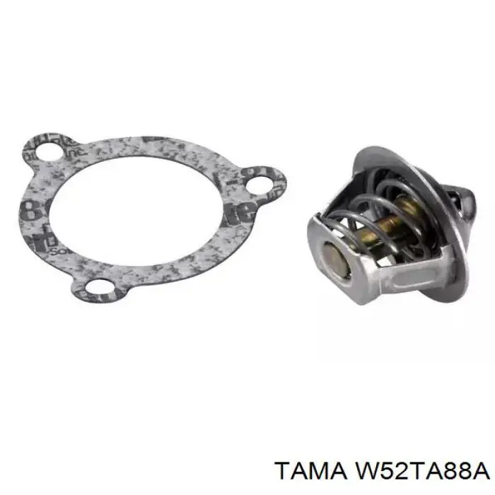 Termostato W52TA88A Tama