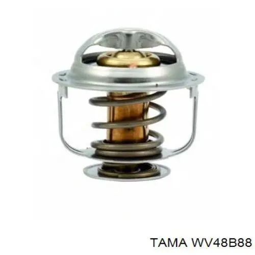 WV48B88 Tama Termostato de agua