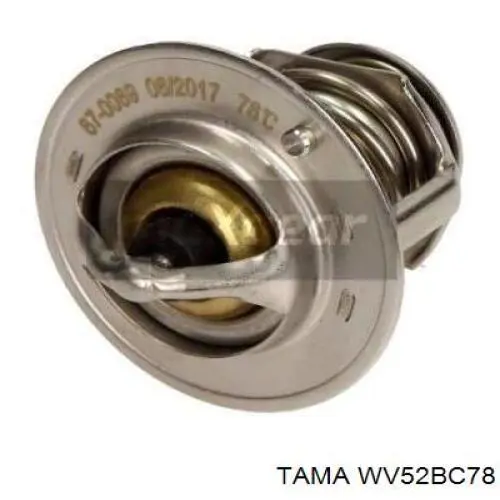 WV52BC78 Tama termostato