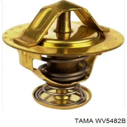 WV5482B Tama Termostato de agua