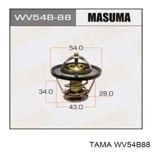WV54B88 Tama termostato