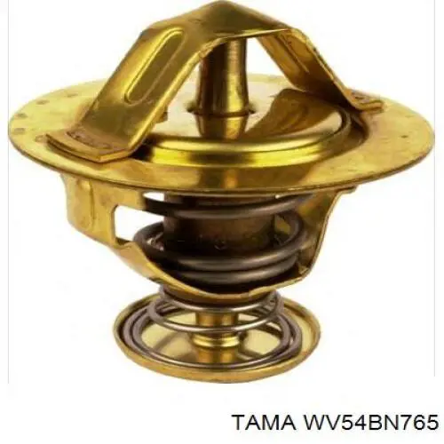 WV54BN765 Tama Termostato de agua