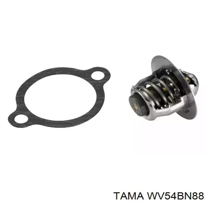 Termostato WV54BN88 Tama