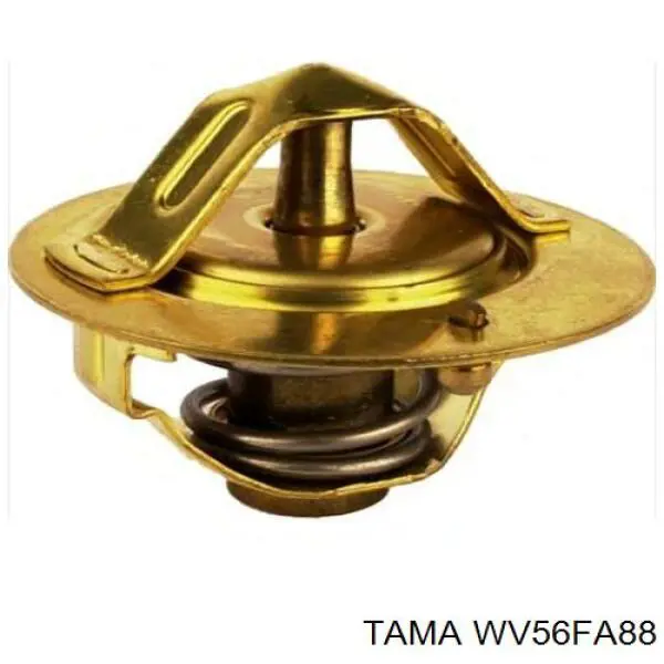 WV56FA88 Tama Termostato de agua