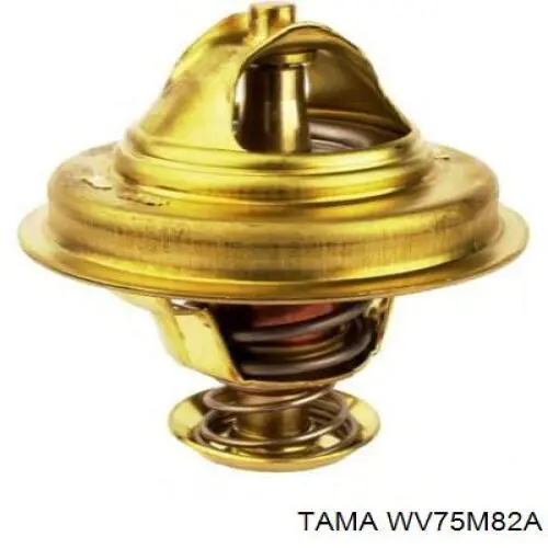 WV75M82A Tama Termostato de agua