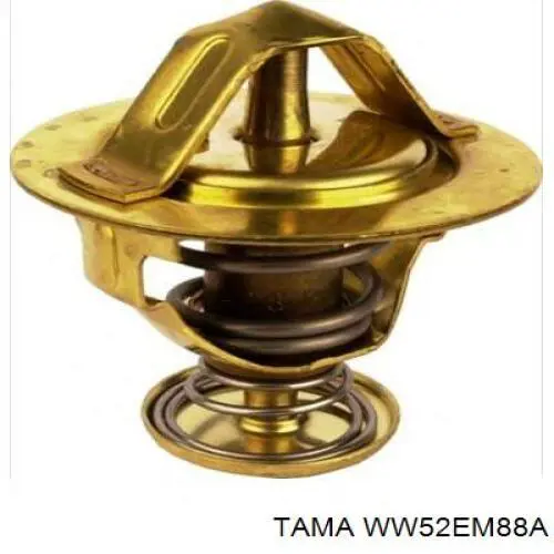 WW52EM88A Tama Termostato de agua