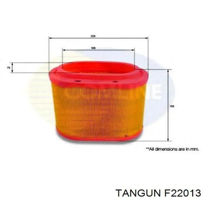 F22013 Tangun filtro de aire