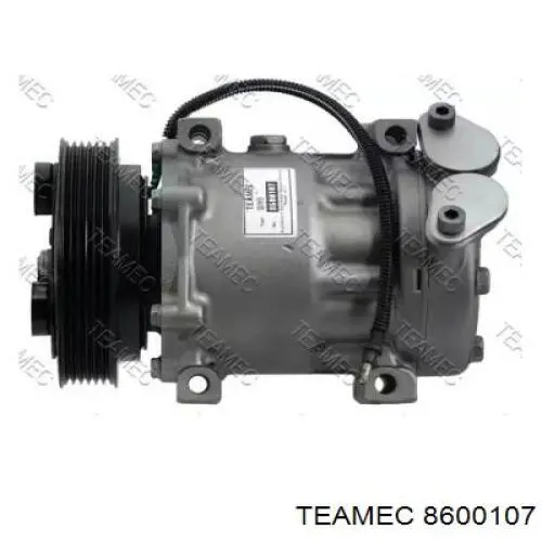 Compresor ac Renault (RVI) 7700857907F precio, desde 66,94 EUR