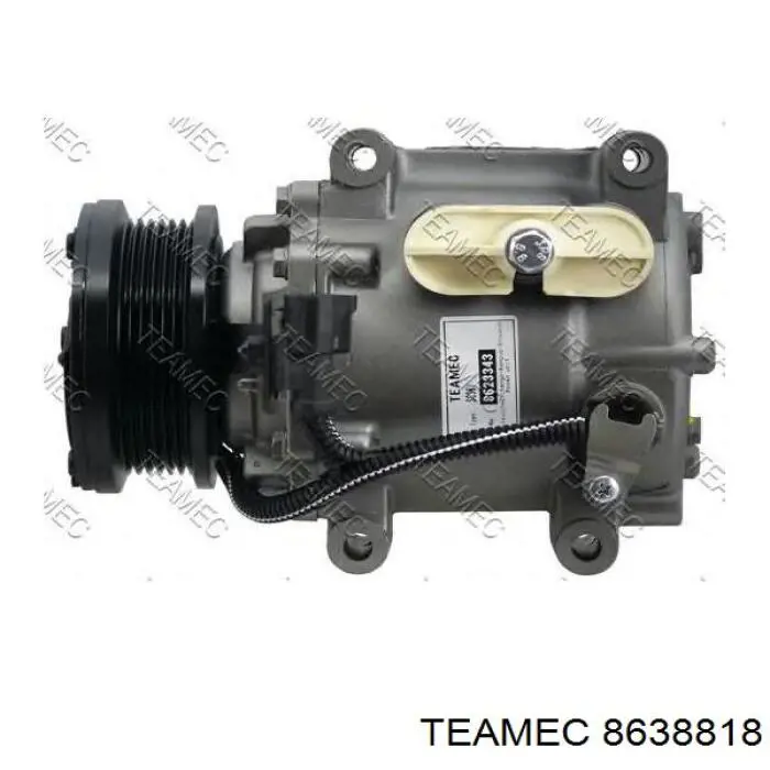 8638818 Teamec