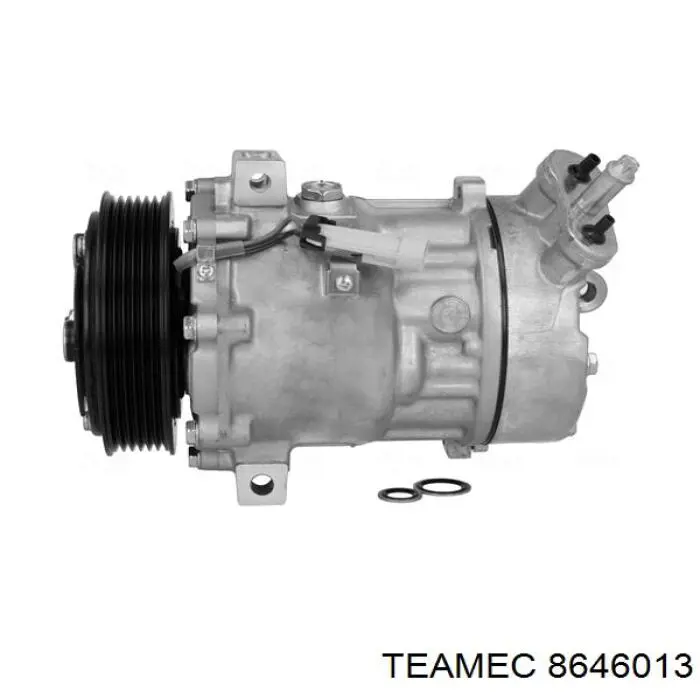 8646013 Teamec