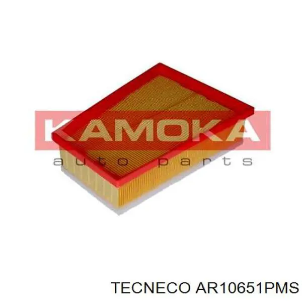 AR10651PMS Tecneco filtro de aire