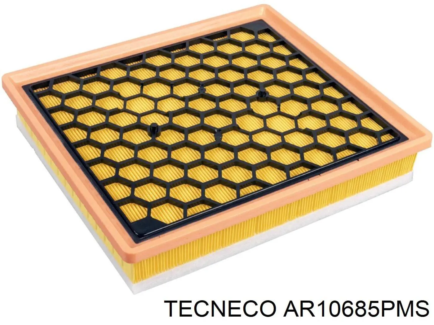 AR10685PMS Tecneco filtro de aire