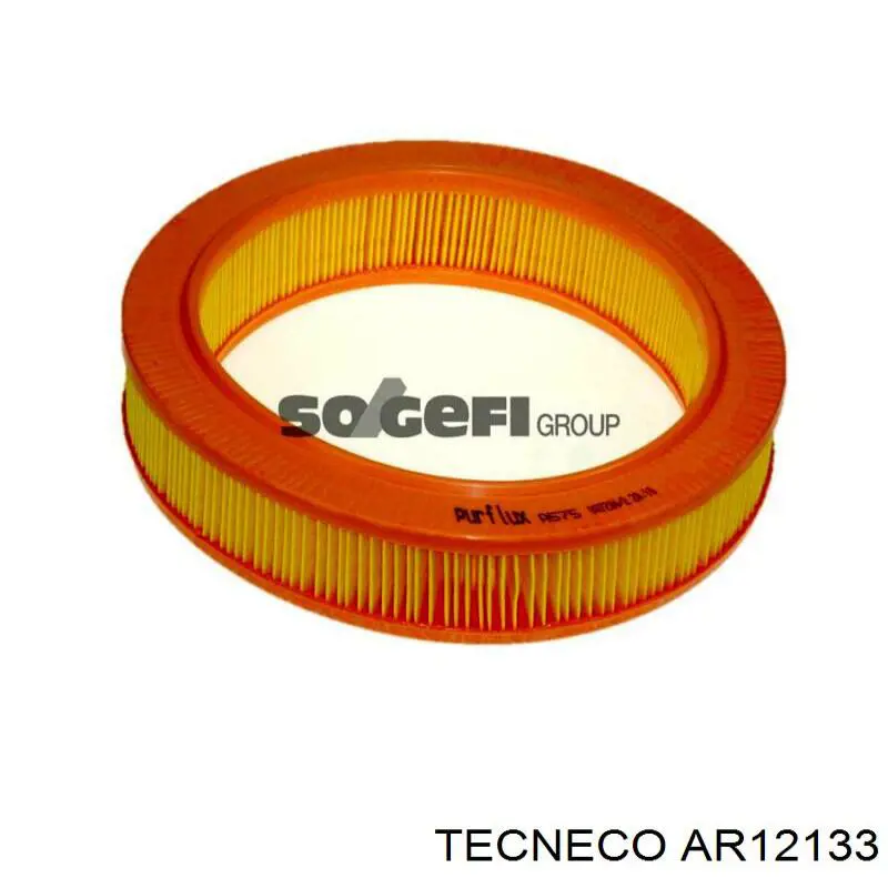 Comprar AR12133 Tecneco Filtro de aire
