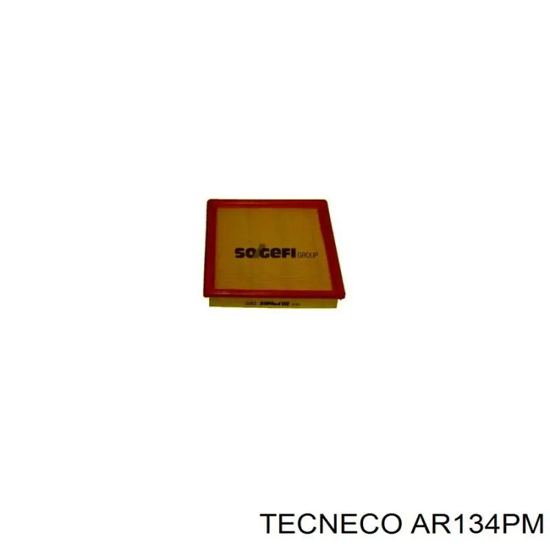 AR134PM Tecneco filtro de aire