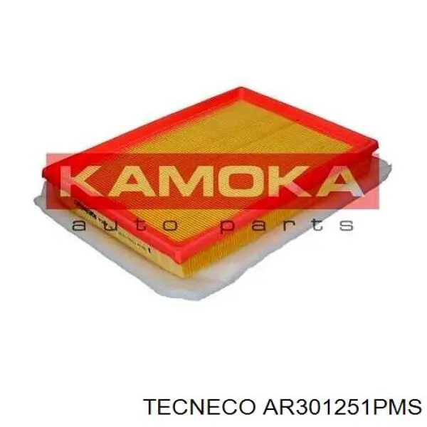 AR301251PMS Tecneco filtro de aire