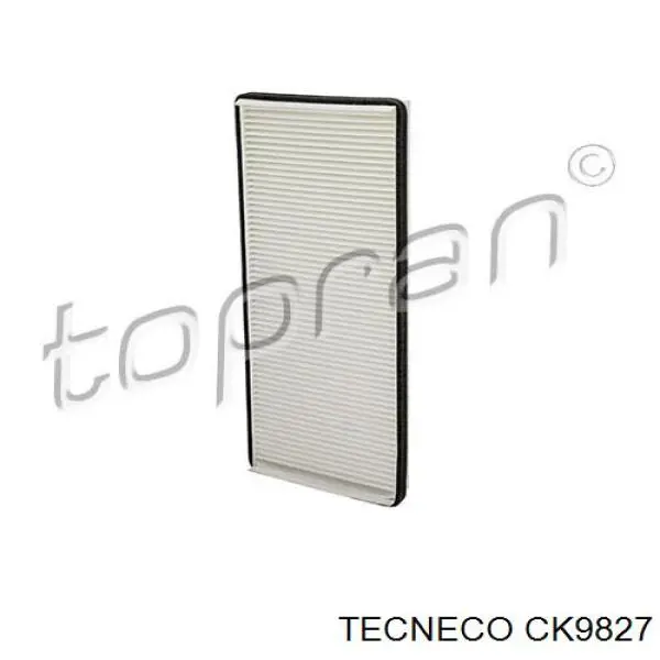 Filtro de habitáculo Renault Espace 4 JK0