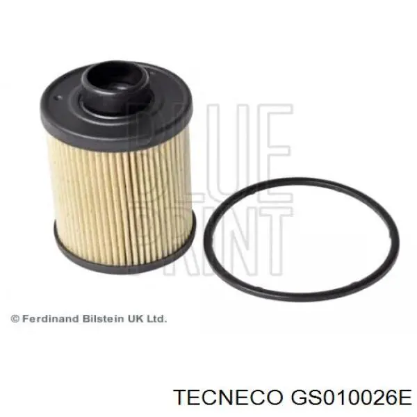 GS010026E Tecneco filtro combustible