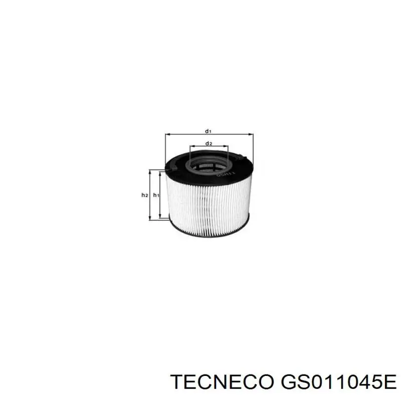 GS011045E Tecneco filtro combustible
