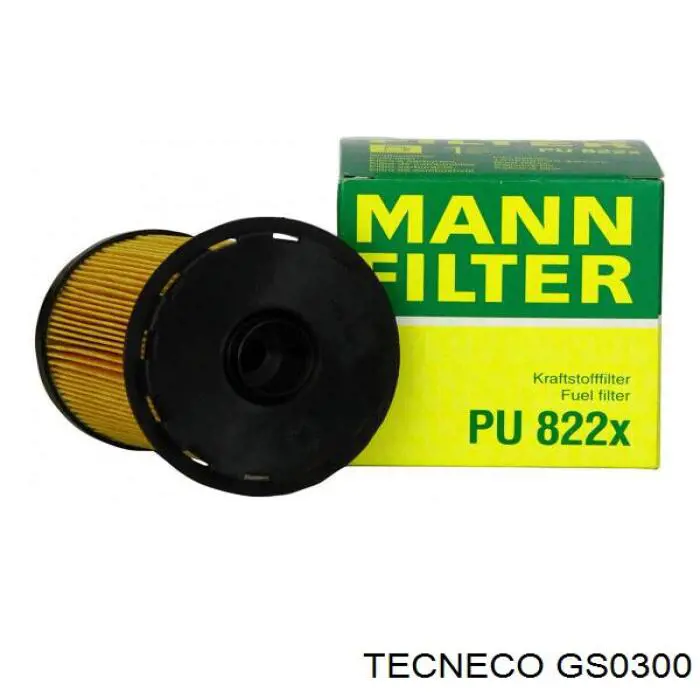 GS0300 Tecneco filtro combustible