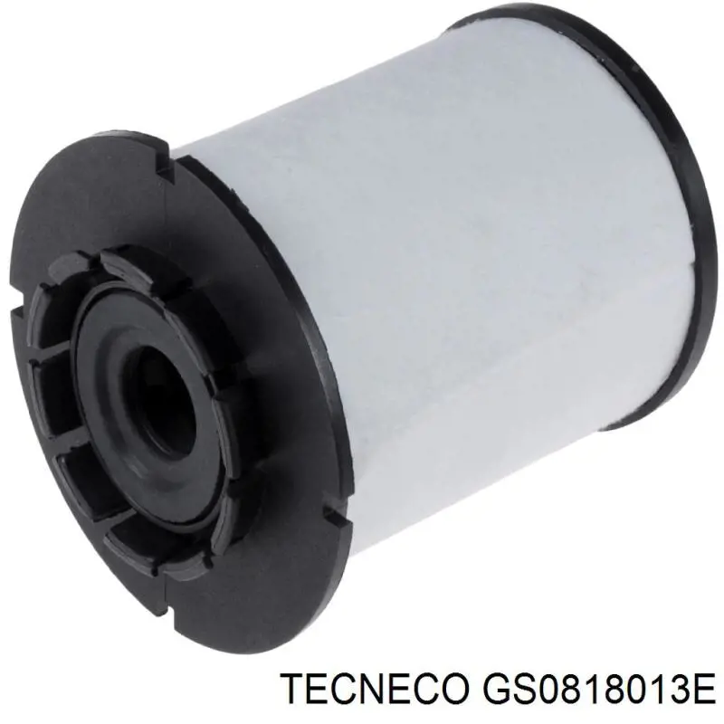 GS0818013E Tecneco filtro combustible