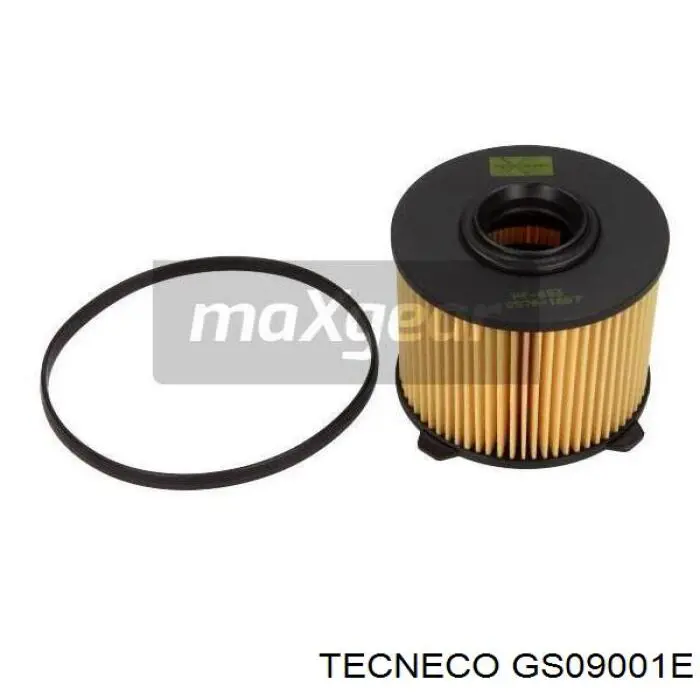 GS09001E Tecneco filtro combustible