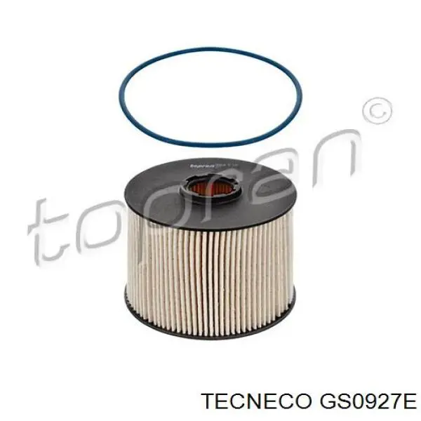 GS0927E Tecneco filtro combustible