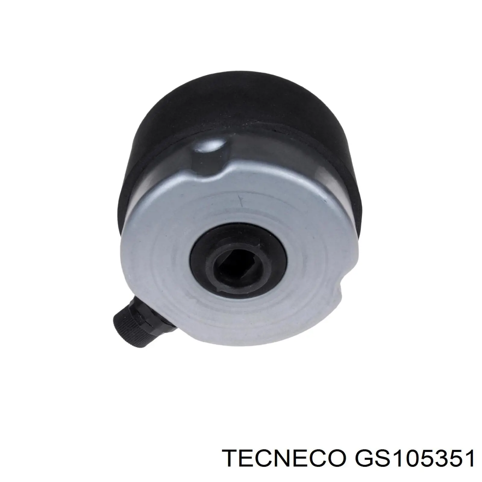 GS105351 Tecneco filtro combustible
