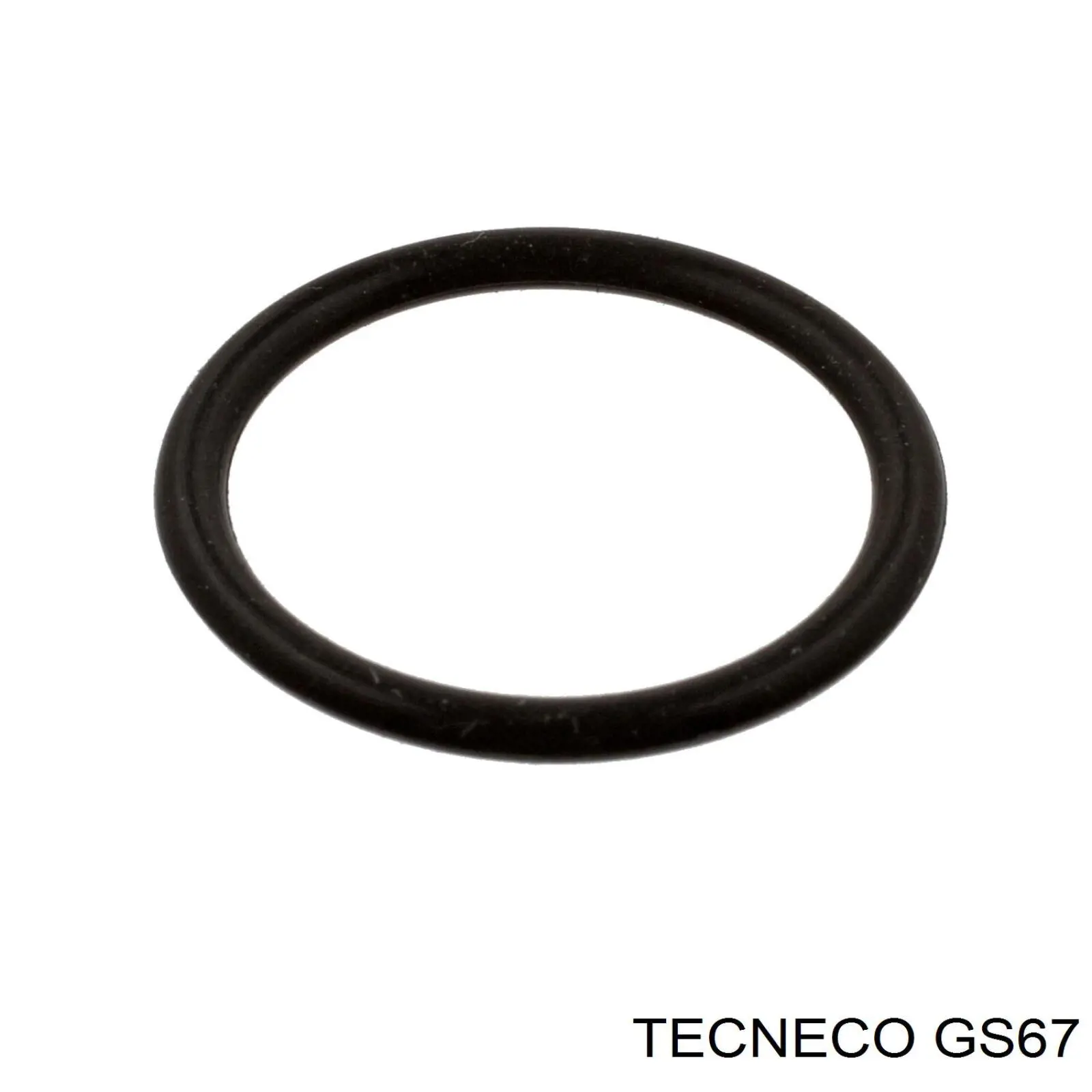 Filtro de combustible GS67 Tecneco