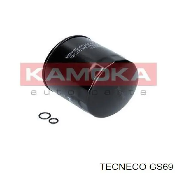 Filtro combustible Tecneco GS69 precio, desde 6,60 EUR