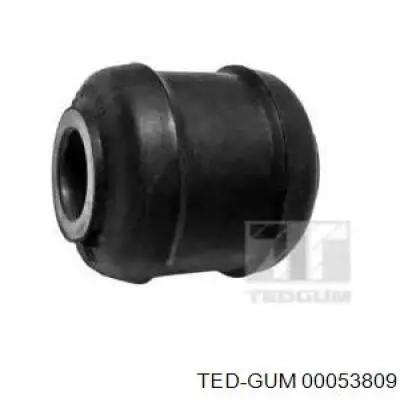 00053809 Ted-gum Barra de dirección completa izquierda