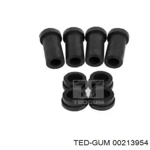 00213954 Ted-gum