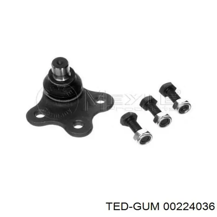 Comprar 00224036 Ted-gum Buje del brazo transversal trasero