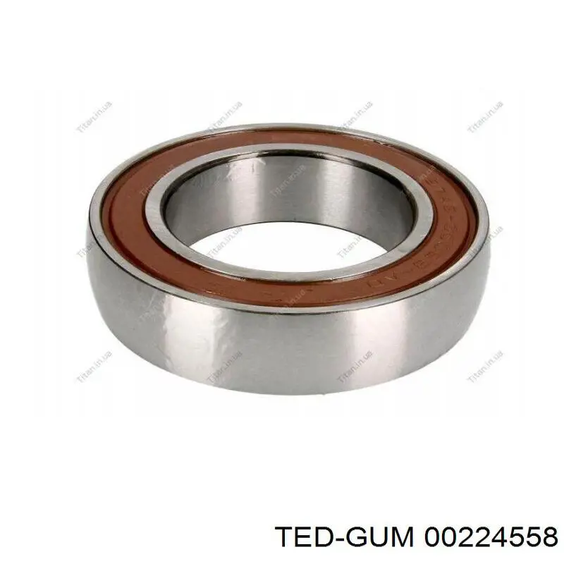 00224558 Ted-gum