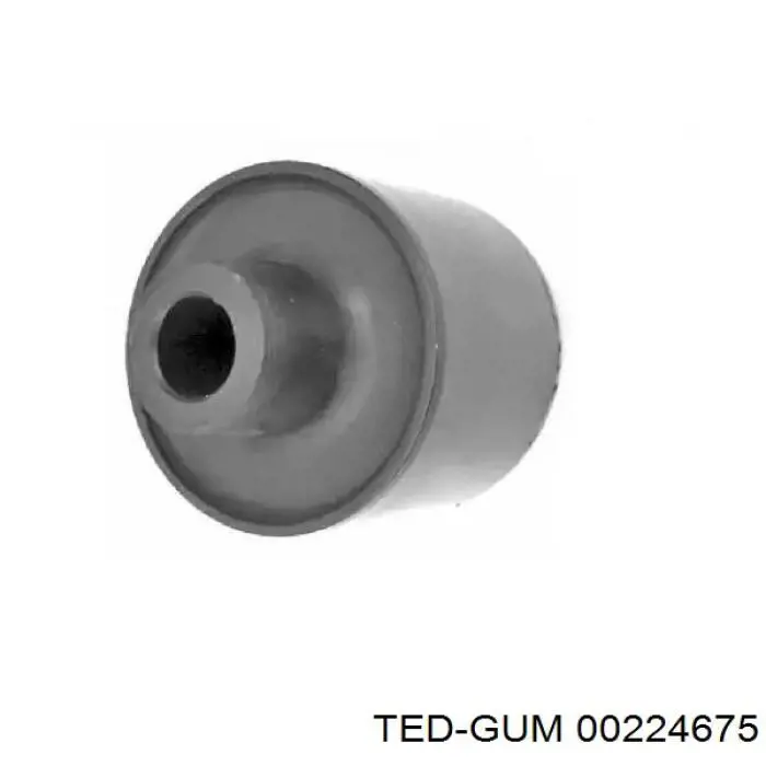 00224675 Ted-gum silentblock de suspensión delantero inferior