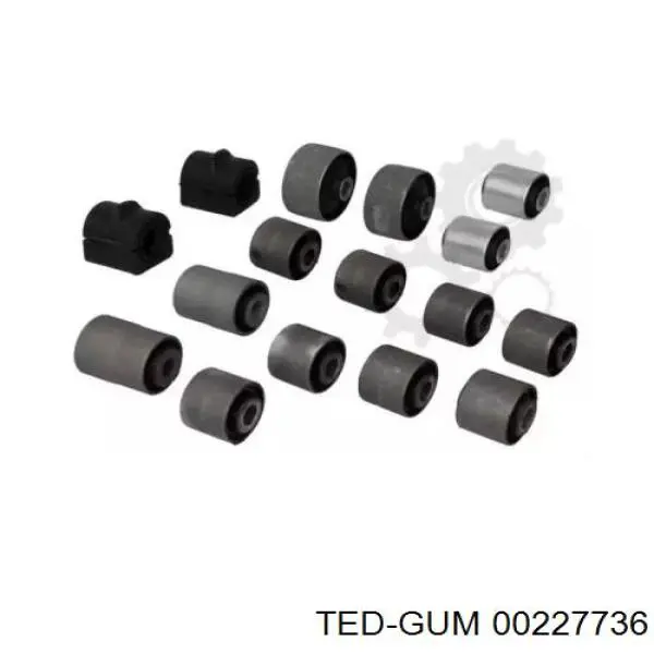 00227736 Ted-gum