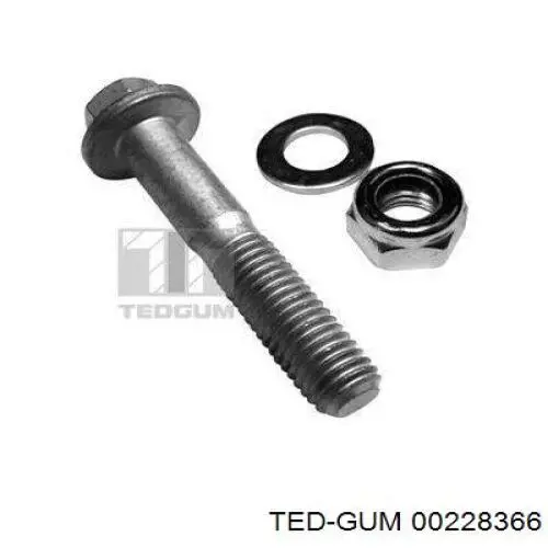  228366 Ted-gum