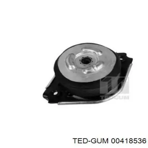 00418536 Ted-gum