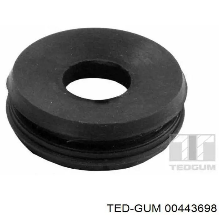 00443698 Ted-gum