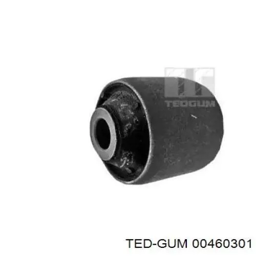 00460301 Ted-gum