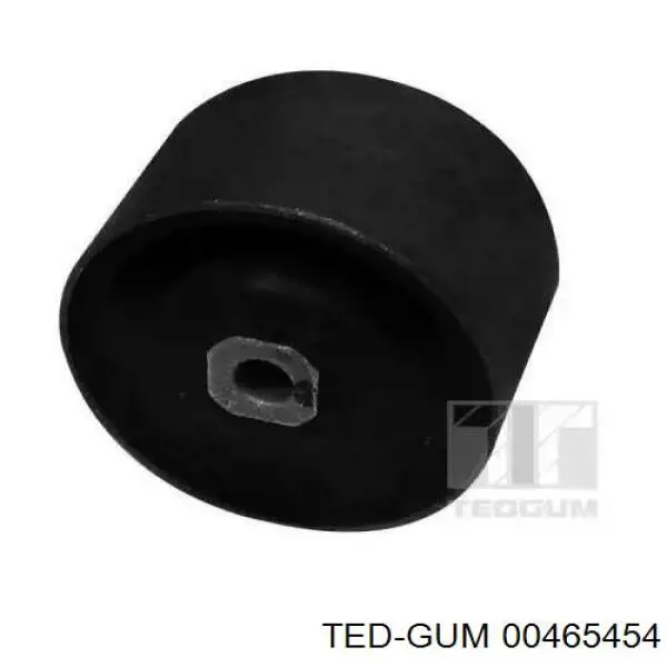 Soporte de motor delantero Ted-gum 00465454 precio, desde 18,15 EUR