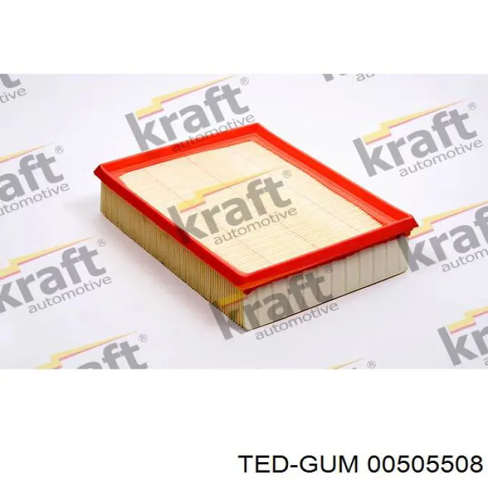 00505508 Ted-gum