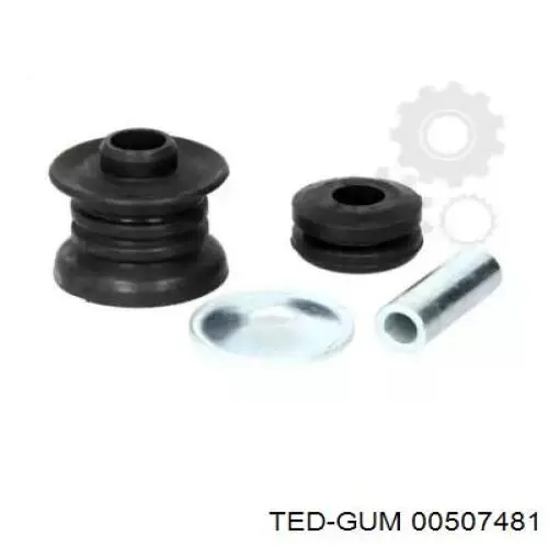 00507481 Ted-gum