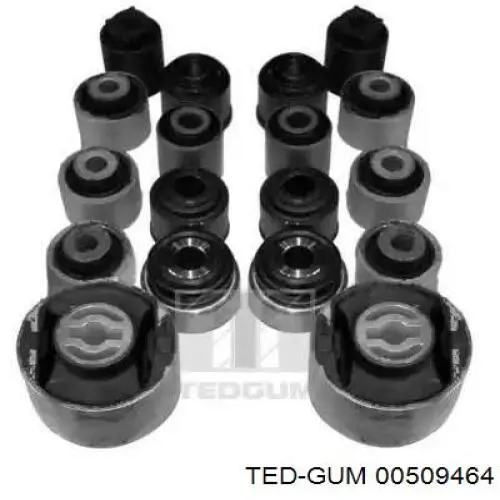 00509464 Ted-gum